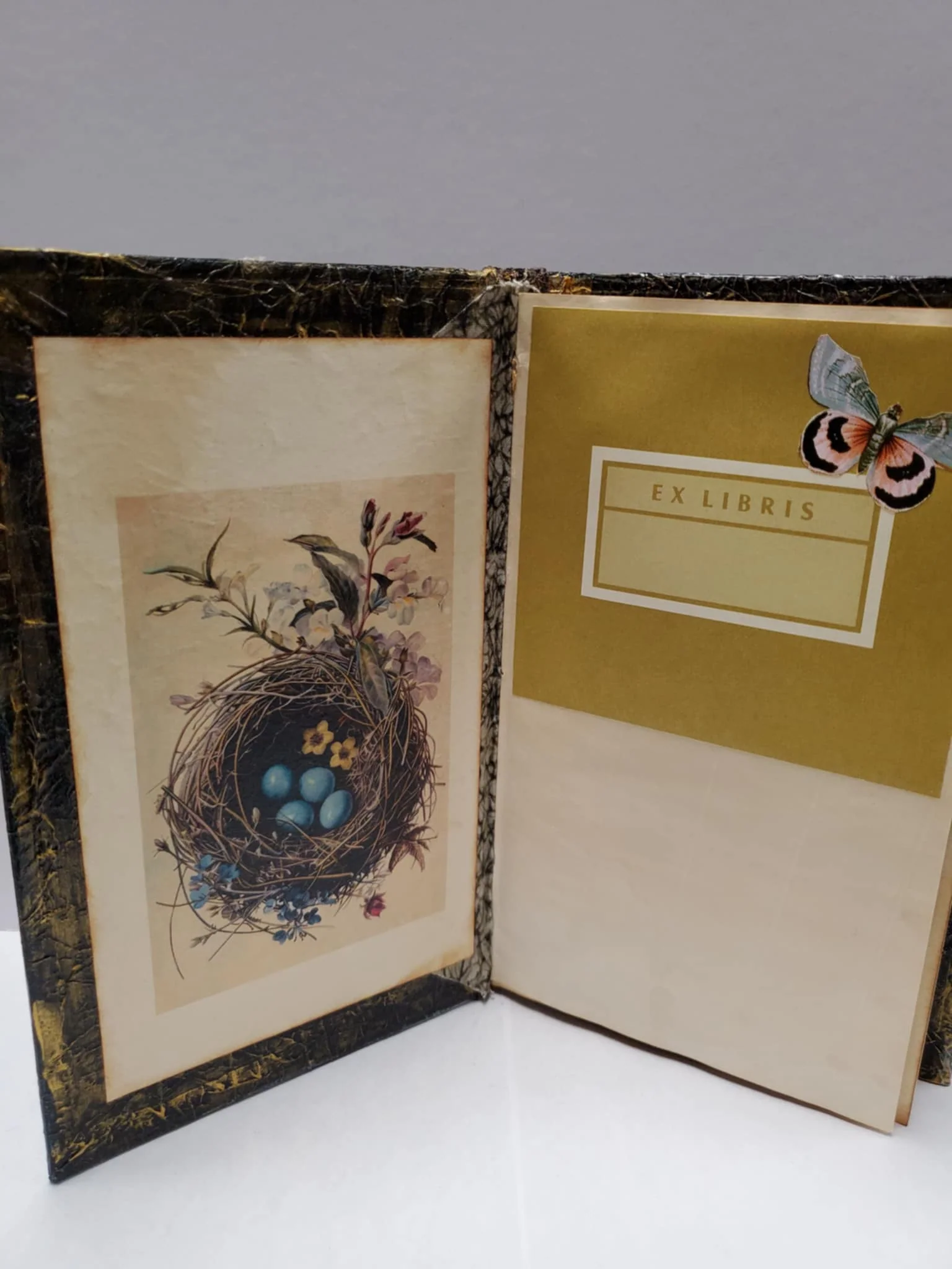 Mushroom Fairy House Journal - Image 2
